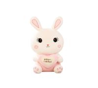 Coniglio peluche abbraccio cuore, cuscino carino, regalo per ragazze