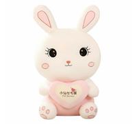 Coniglio peluche abbraccio cuore, cuscino carino, regalo per ragazze
