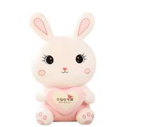 Coniglio peluche abbraccio cuore, cuscino carino, regalo per ragazze