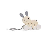 Coniglio trainabile in legno con cucciolo BIGJIGS TOYS