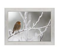 ConKrea Quadro su Tela Canvas INTELAIATO - con Cornice - Uccello Pettirosso - Paesaggio Innevato - Neve - 70x100cm - Stile Country Bianco Shabby - (cod.1097)