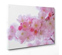 ConKrea Quadro su Tela Canvas - INTELAIATO - Pronto da Appendere - Ciliegio Giapponese in Fiore - Fiori Rosa - Natura - 50x70cm - Senza Cornice - (cod.3634)