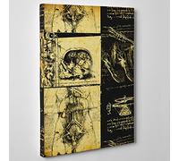 ConKrea Quadro su Tela Canvas - INTELAIATO - Pronto da Appendere - Leonardo da Vinci - Studio di Anatomia - Medicina Chirurgia- 50x70cm - Senza Cornice - (cod.339)