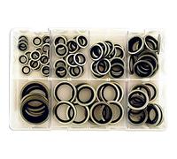 Connect 31874 - Confezione da 100 rondelle di Tenuta con Gomma Interna, Misure assortite