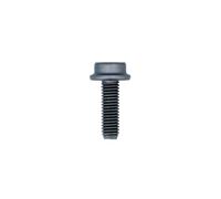 Connect 32453 Bolt M5 x 16mm x T25 Torx Head - Skoda & VW Range 10pc