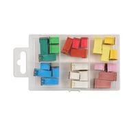 Connect Assortiti J-Type & Profilo Basso J-Type Fusibili 24pc 30723