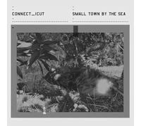 Small Town By The Sea - Connecticut (Audio cd)