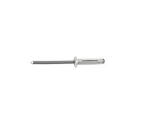 Connect Metallo Bordo Rivetto - per Mazda, Mercedes-Benz, Nissan 50pc 36407