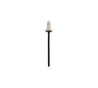 Connect Rivetto In Metallo Con Bordo - Per Toyota 50Pz 36187
