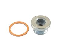 Connect Sump Plug E Washer - Per Mercedes-Benz 31768