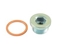 Connect Workshop Consumables 31768,0 con 1 tappo per coppa dell'olio + Rondella