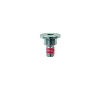 Connect Workshop Consumables 34130 Brake Disc Fixing Screws M6 x 1mm 10pc - for Mercedes-Benz, Chrysler