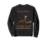 Connecticut Territory Insect La mantide Europea Felpa