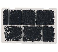 Connect Assortiti Autofilettanti Nero Flangiato Pozi Viti 700pc 35002