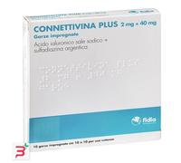 CONNETTIVINA PLUS*10GARZE10x10