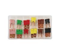 Connettore Assortiti Fusibili Maschili PAL 18 Pezzi 30726