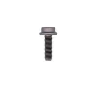 Connect Bullone M5 X 16mm X T25 Testa Torx - Skoda & VW Gamma 10pc 32453