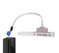 Connettore cavo scheda madre,Connettore di estensione della scheda madre | Espansione del pannello posteriore della scheda madre | Adattatore host per cavo del computer con 2 interfacce USB