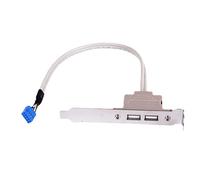 Connettore del cavo dell'intestazione del pin della scheda madre, cavo di prolunga ABS a 9 pin con due interfacce USB per sistema desktop, espansione componente pannello posteriore