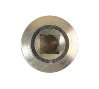 Connettore HGV Sump Plug E Guarnizione - Per DAF 1pz 33166