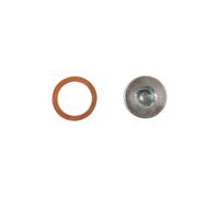 Connettore HGV Sump Plug E Guarnizione - Per Renault 1pz 33153