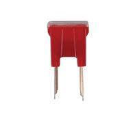 Connect Maschile Amico Fusibili 50A 10pc 30472
