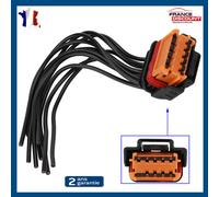 Connettore MOLEX 10 Pin Per RENAULT MASTER III PEUGEOT RIFTER 987881201