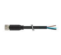 Connettore Murr M8 femmina 0° con cavo 3P 4A 1.5 kV 5m 7000080416100500
