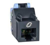 Connettore non schermato Schneider monoblocco Actassi S-One RJ45 VDIB17726U12