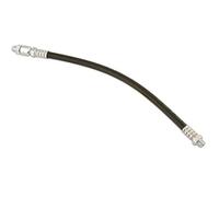 Connettore Per Pistola Grassa Con Estremità Maschio BSP Da 1/8" 450Mm 2Pz 31253