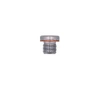 Connettore Sump Plug - Gruppo VW 1pz 32461