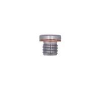 Connettore Sump Plug - Gruppo VW 1pz 32461