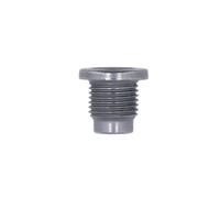 Connettore Sump Plug Renault 1Pz 34256