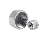 Connettore terminale for tubo da giardino in acciaio inossidabile da 1/2'', 3/4'', 1'', filettatura maschio/femmina, tappo terminale, raccordi di tenuta for tubo in PVC(5Pcs 1 Female-Thread)