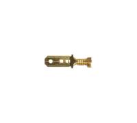 Connettore Tipo 250 Terminali Maschio Non Isolati 100 Pezzi 37408