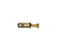 Connect 250 Tipo Connettore Anti Isolato Maschile Terminali 100pc 37408