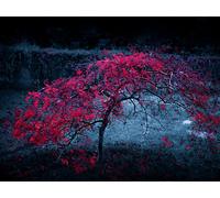 Connettori audio 610127 presa jack 2.5 mm, stereo, versione in plastica,