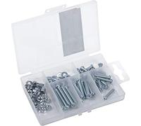 Connex Assortimento di viti filettate, 102 pezzi, diverse dimensioni, testa cilindrica, attacco PH Phillips, filettatura completa, con dadi e rondelle, set di viti, scatola di assortimento, DP8500103