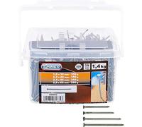 Connex B30053 - Punta di trafileria, 4 misure, in secchiello da 1400 gr