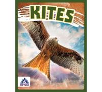 Connor Stratton Kites (Copertina rigida) Birds of Prey