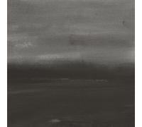 Connors, Loren / Grubbs, David - Evening Air [Vinyl LP]