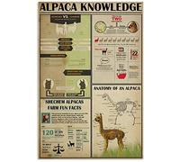 Conoscenza degli alpaca 3 Scopri di più sugli alpaca Infografiche Cartelli in metallo con latta Poster sulla conoscenza degli alpaca Enciclopedia degli animali Targhe Ufficio artistico Den Club