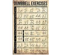 Conoscenza del fitness Cartelli in metallo Esercizi con manubri Infografica Poster retrò Guida per la palestra Targhe Targa in metallo vintage per la decorazione della parete del club della stanza di