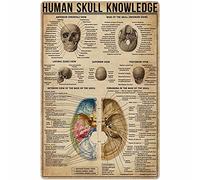 Conoscenza del teschio umano Targa in metallo con grafico anatomico Poster Decorazioni per la casa Decorazioni per club Targa 12x16 pollici