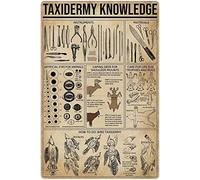 Conoscenza della tassidermia Targhe in metallo in metallo Infografica sulla tassidermia Poster di lettura Come fare Guida alla tassidermia degli uccelli Targhe Decorazione della parete della stanza
