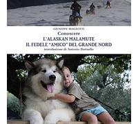 Conoscere l'Alaskan Malamute - Il fedele "amico" del Grande Nord