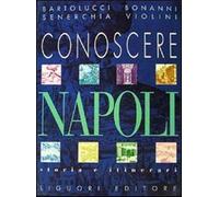 Conoscere Napoli. Storia e itinerari