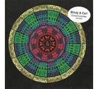 Consciousness [Analog]