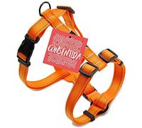 Consentida CN205644 Fluor T-4 Bretelle 42 - 70 x 2,5 cm, XL, Arancione