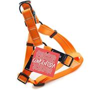 Consentida cn205666 pettorale Fluo T-2, 30 - 40 x 1.5 cm, M, Arancione